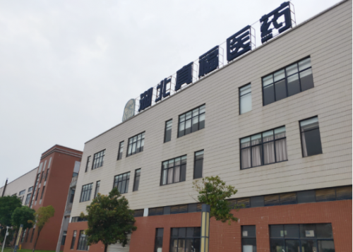 6413d1a90f6e5 6413d1a90f6e5