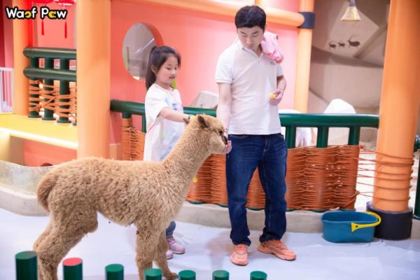 34f6b8af20d44dce31cf1f4f89a82ddf 34f6b8af20d44dce31cf1f4f89a82ddf