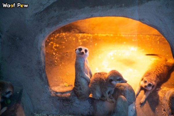 a826d7e7ac51b789bc181d1d20d2850f a826d7e7ac51b789bc181d1d20d2850f