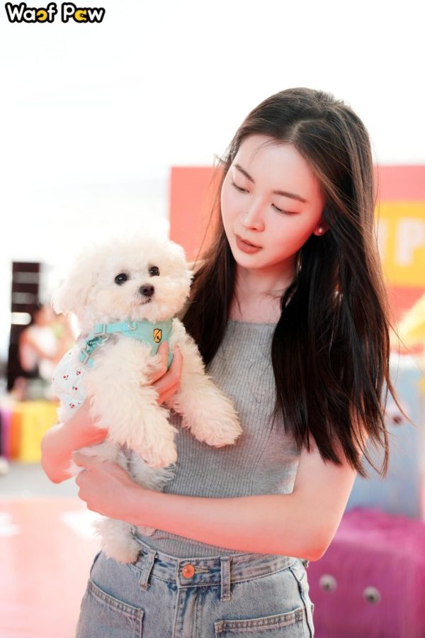 b0ad7937ac89824a640bee13bf4882dc b0ad7937ac89824a640bee13bf4882dc