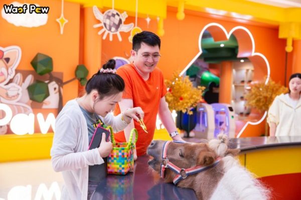 cb741b6f159290a96f9b33766577da1a cb741b6f159290a96f9b33766577da1a