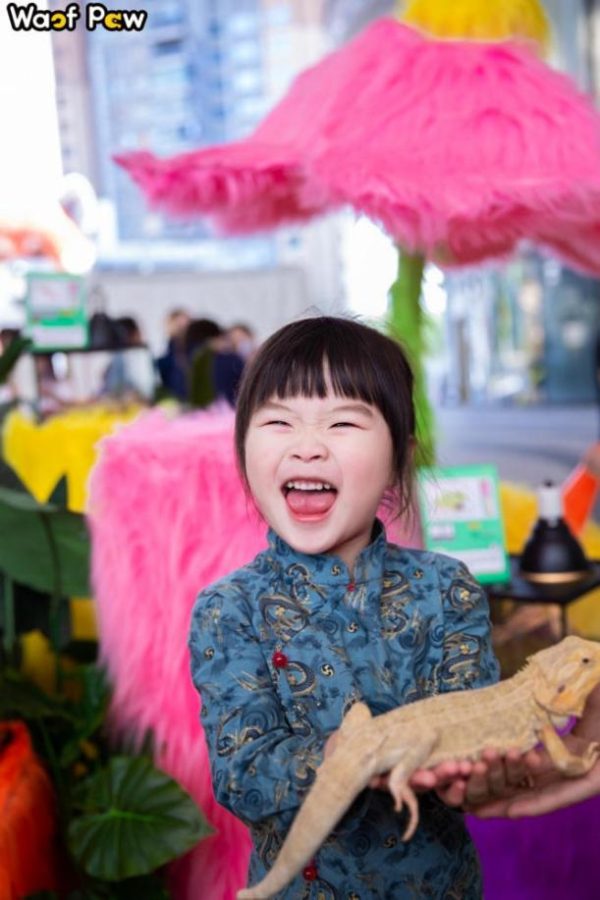 dba44e0279b2006e4fdac5d6b023b20e dba44e0279b2006e4fdac5d6b023b20e