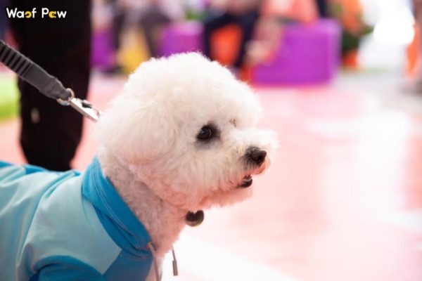 fda6ba1c48216429fbf6c33c2b55b6e4 fda6ba1c48216429fbf6c33c2b55b6e4